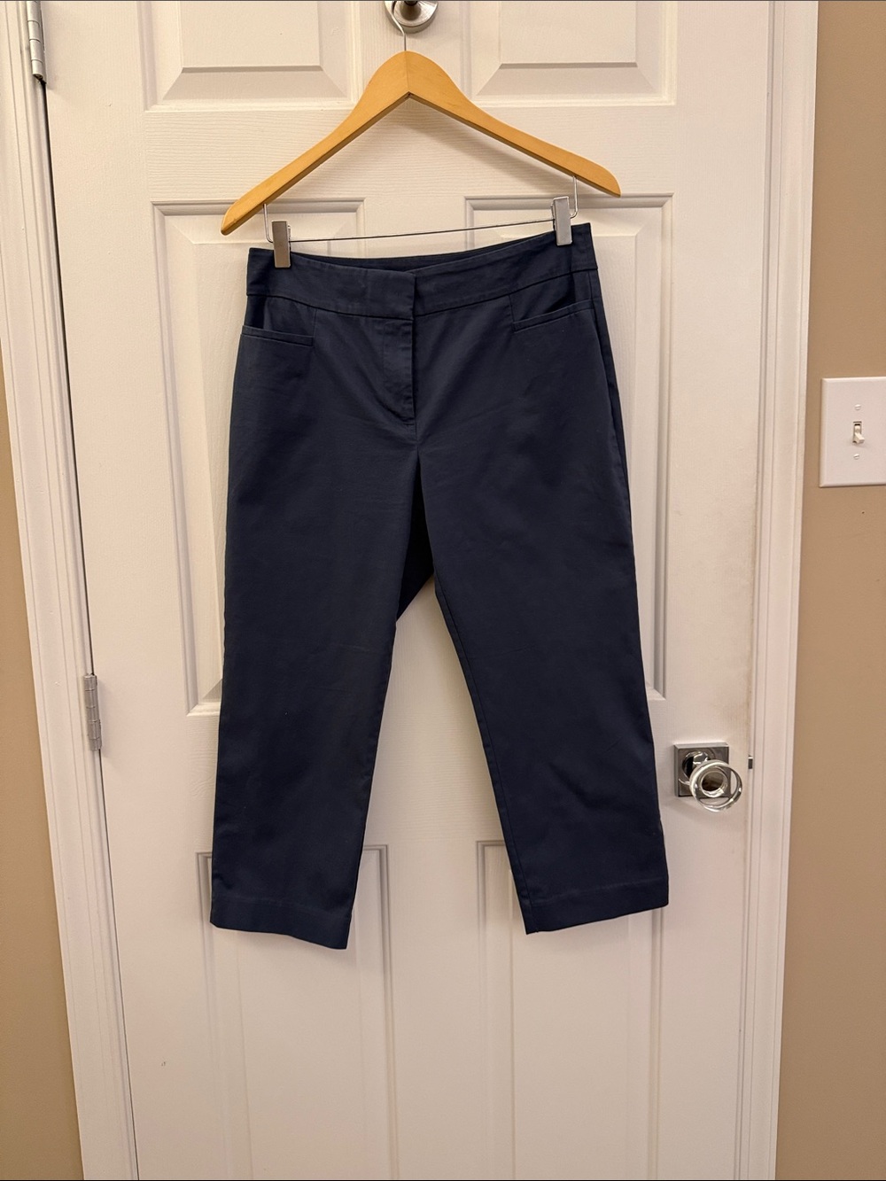 Ann Taylor Navy Cropped Ankle Pants